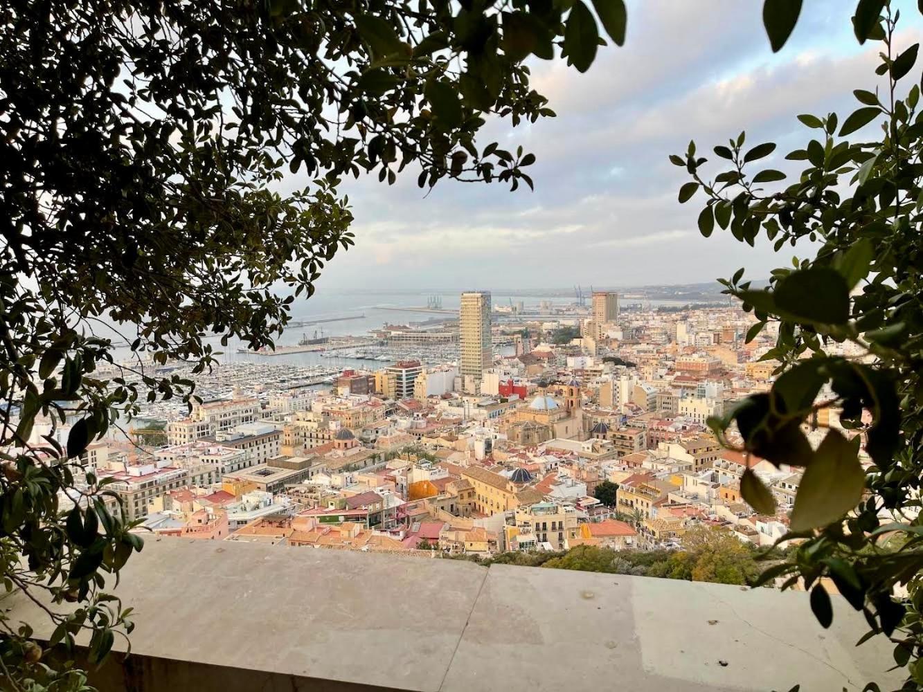 Gran Atico Con Terraza En El Centro De アリカンテ エクステリア 写真