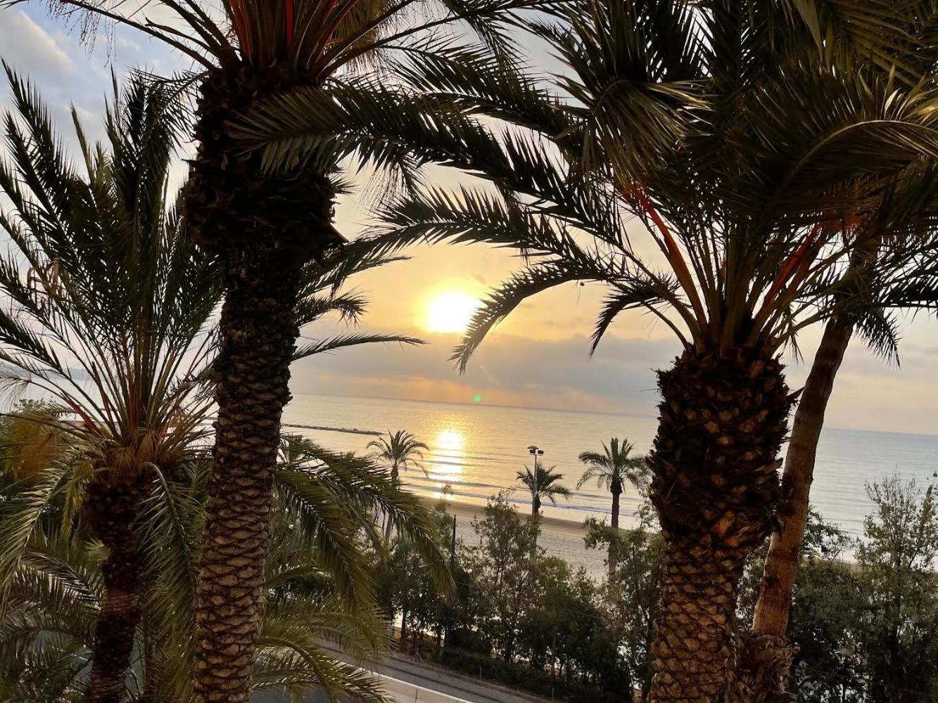 Gran Atico Con Terraza En El Centro De アリカンテ エクステリア 写真